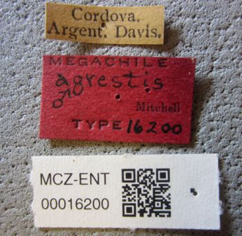 Media type: image;   Entomology 16200 Aspect: labels